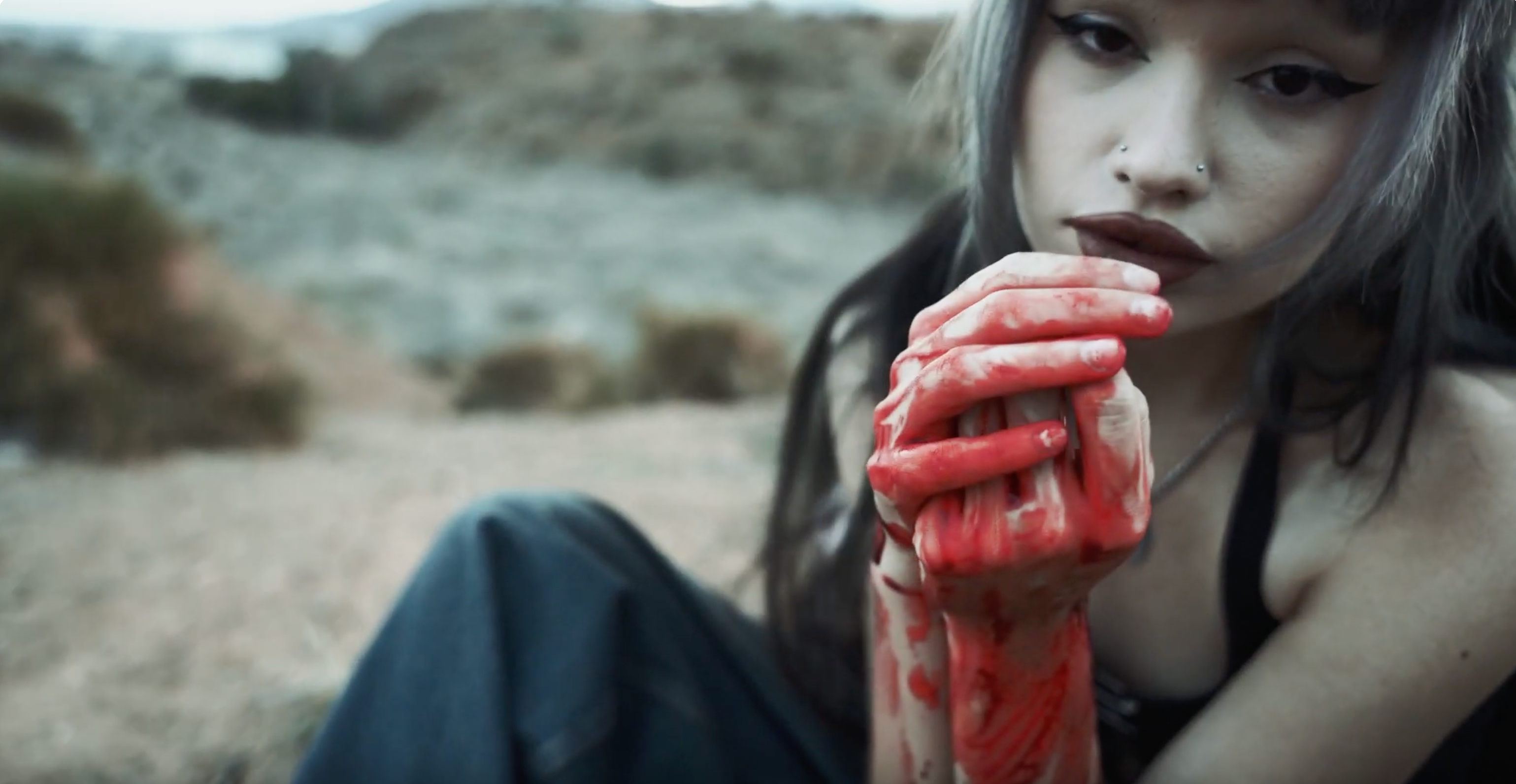 Cargar video: 